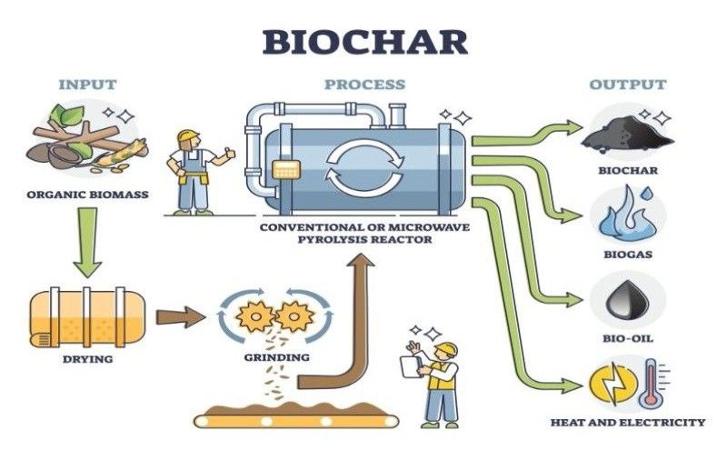 Biochar