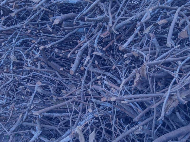 Terrestrial Storage of Biomass - Durability 100+years